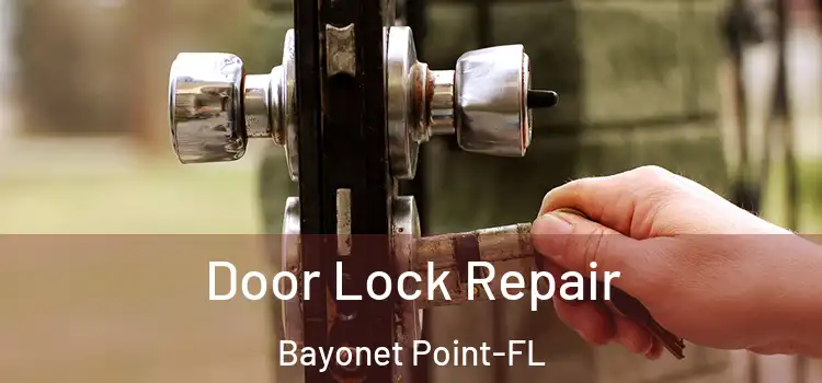  Door Lock Repair Bayonet Point-FL