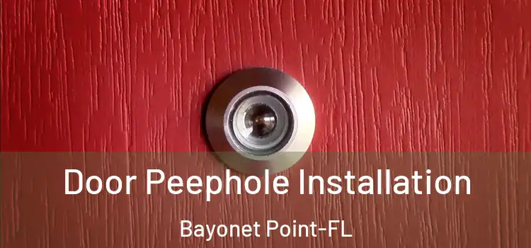  Door Peephole Installation Bayonet Point-FL