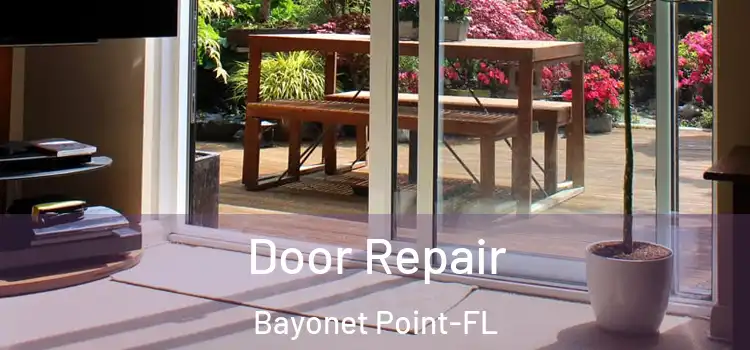  Door Repair Bayonet Point-FL