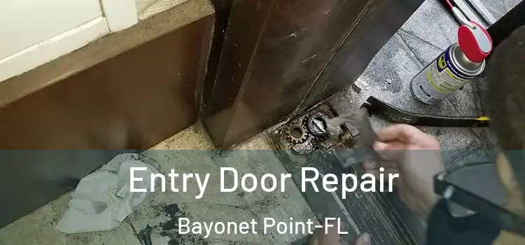  Entry Door Repair Bayonet Point-FL