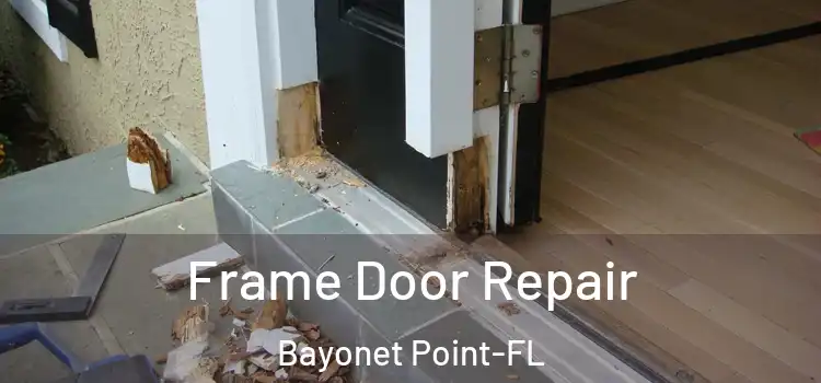  Frame Door Repair Bayonet Point-FL