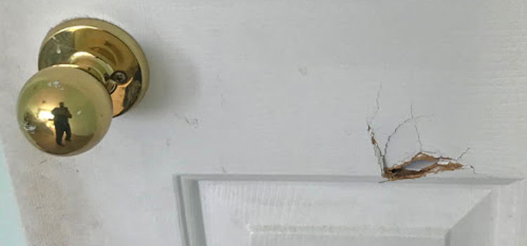 interior door hole repair Bayonet Point