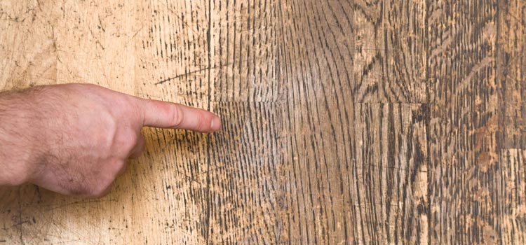 Wood Door Scratch Repair in Bayonet Point