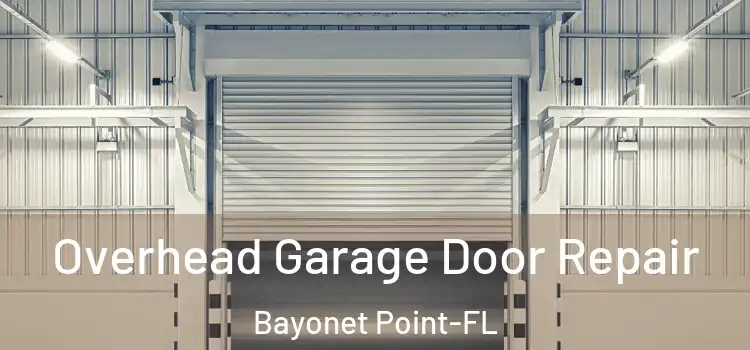  Overhead Garage Door Repair Bayonet Point-FL