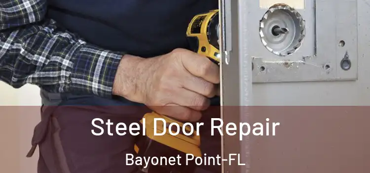  Steel Door Repair Bayonet Point-FL